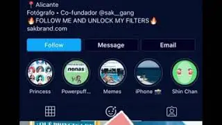 How to get disney filter