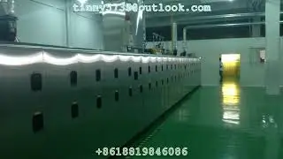 Swiss Roll producing line,Auto Swiss Roll making machine