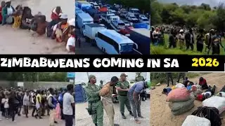 Thousands of Zimbabweans Stuck at the Border Desperate to Cross Into South Africa 