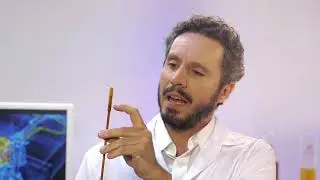 Momento Petrol | Como conferir o n&iacute;vel do &oacute;leo na vareta?