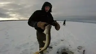 Northern MI Tip-Up Ice fishing- Walleye, Perch, & Pike