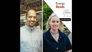 Flow batteries for grid-scale energy storage