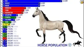 TOP 20 COUNTRIES BY HORSE POPULATION