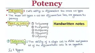 Potency| Handwritten notes