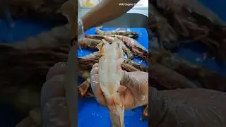 🐅🦐 - Tiger Jumbo Shrimp Cleaning Tips - Prawns Cleaning Tail On 🍤  #jumbo #shrimp #cleaning #shorts