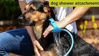 Make Bath Time a Breeze with dog shower attachment