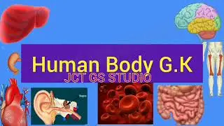 Human body MCQ/Parts of body Quiz/Body parts MCQ in English/Human body Organs Quiz/Digestive Organs
