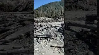 Le&ntilde;a extraible del cauce del rio blanco