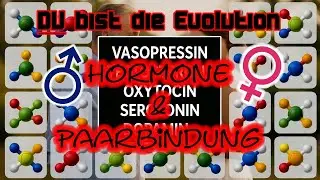 DU bist die Evolution SPEZIAL: Hormone und Paarbindung