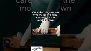 How to insert a new module on a modular MagTone Guitar? #magtone #magtoneguitars #modularguitar