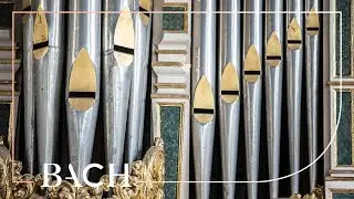 Bach - Trio Super: Nun komm, der Heiden Heiland BWV 660 - Van Doeselaar | Netherlands Bach Society