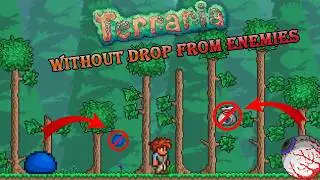 How I beat Terraria master mode without drop from ENEMIES 
