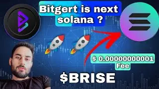 Bitgert [ BRISE ] is next solana ? #bitgert #brise 🚀🚀