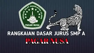 Rangkaian dasar jurus SMP A PAGAR NUSA   | Mario junet & Irvan septianto