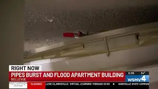 Bellevue apartment residents forced out after pipe bursts, flooding building