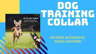 Dog Training Collar waterproof | Dog Care | BEST dog training collar ✅