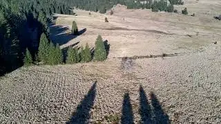 Nejkratší den v roce - Jelení z dronu