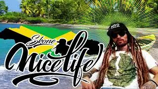 Nice Life - Skone aka Twenty1000flow