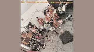 The Young Fresh Fellows - The Teen Thing