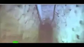 Buzzing-Vid&eacute;o &eacute;vasion  de El Chapo (Joaqu&iacute;n Guzman)