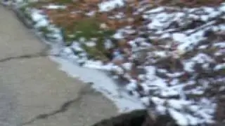 Pot Hole in Carver Hills Community on AJAX Street  overlooking the creek