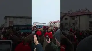 Cerbul de la Cucuteni Iasi 2025