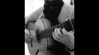 Falseta de Entrada y llamada al Cante por Sole&aacute;🎸