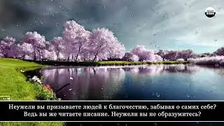 Surah baqarah complete by Umair Shamim heart soothing and relaxing voice #Quran