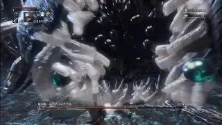 Bloodborne レベル48 自作聖杯 イズ全盛り