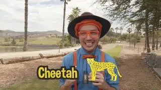 🦒🌿 Blippi Visits San Diego Zoo Safari Park | Animal Videos for Kids | Educational Videos for Kids