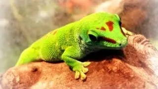 Tour of Shanghai Natural Wild Insect Kingdom, China