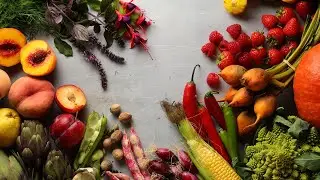 Panel Discussion: The Potential of Plant-Based Cuisine