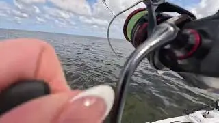 RED FISH ON IN WEEKI WACHEE