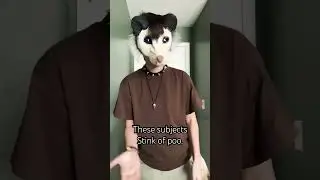 Especially with online school 💀 #alterhuman #therian #furry #silly #school #relatable