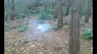 supervlinder met spuitverf