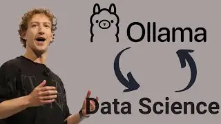 Using Llama 3.2b Local for Python and Data Science