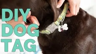 DIY Metal Stamped Dog ID Tag Tutorial