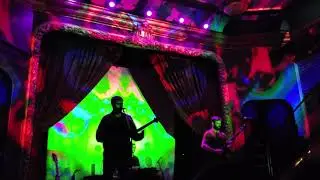 Anemone - Slenderbodies (Live in Seattle)
