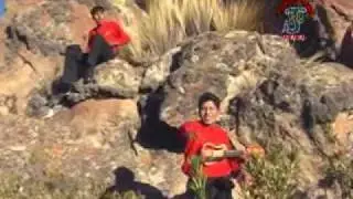 Llajuas   Jairas de Oruro