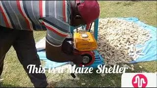 Maize sheller. The easiest, fastest and cheapest way to shell maize. #cereals