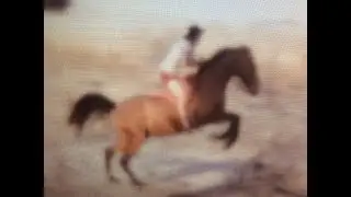 Leigh R Swanson first horse