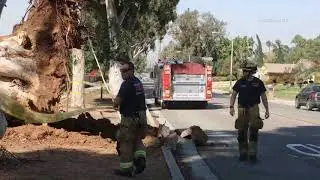 Strong Wind's Pummel The Inland Empire 10-26-20
