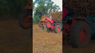 #mahindrapower 🦅🐴