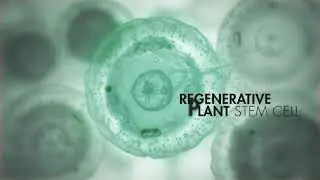 Hair Growth Remedy for Women - PHS HAIRSCIENCE&reg; FEM Range