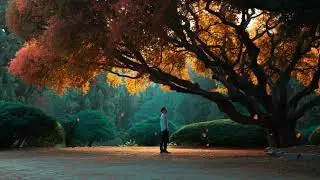 Divine Delay: Unlocking God's Perfect Timing in 2026