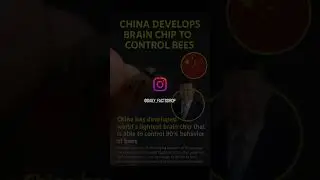 🧠 Brain chip#china#brainchip#shorts#viral#trending#wow#ytshorts #facts #dailyfacts #news