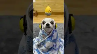 Монтаж морщин #yodajjeom