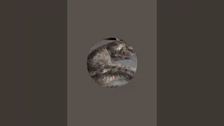 WOWINFO is live!
