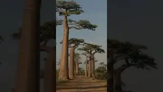 Top 5 Most Beautiful Places on  Earth #viralvideo #top #datacomparison