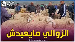 السوق الأسبوعي للمواشي بـ #سوق_أهراس.. الأسعار مرتفعة وغياب المشتري